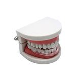 Food Grade Silicone Teeth Mouthguard