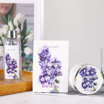 7pcs Lavender Spa Gift Basket with Cute Plastic Bathtub for Women